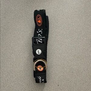 Black Dog Collar with Gold Buckle